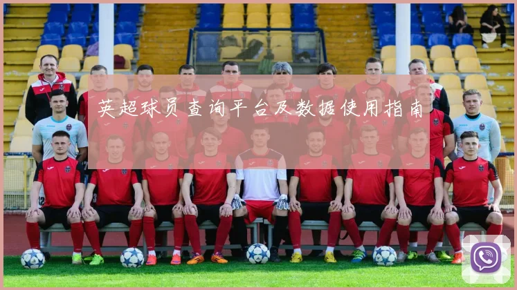 英超球员查询平台及数据使用指南